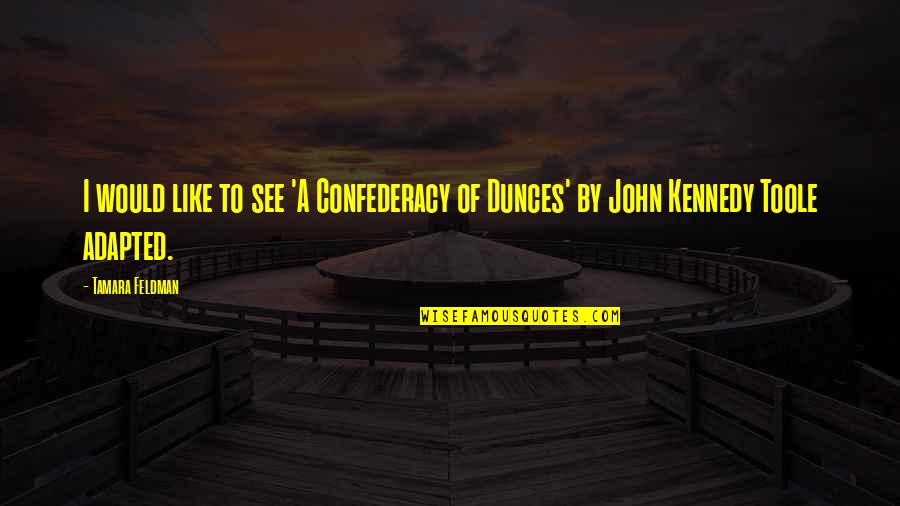 Dunces John Kennedy Toole Quotes By Tamara Feldman: I would like to see 'A Confederacy of