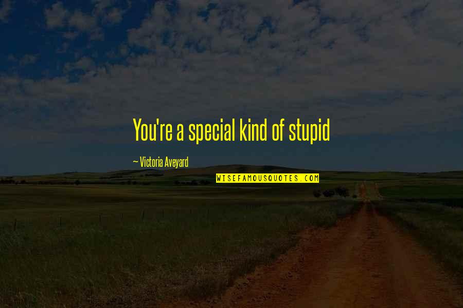 Dunderdales Quotes By Victoria Aveyard: You're a special kind of stupid