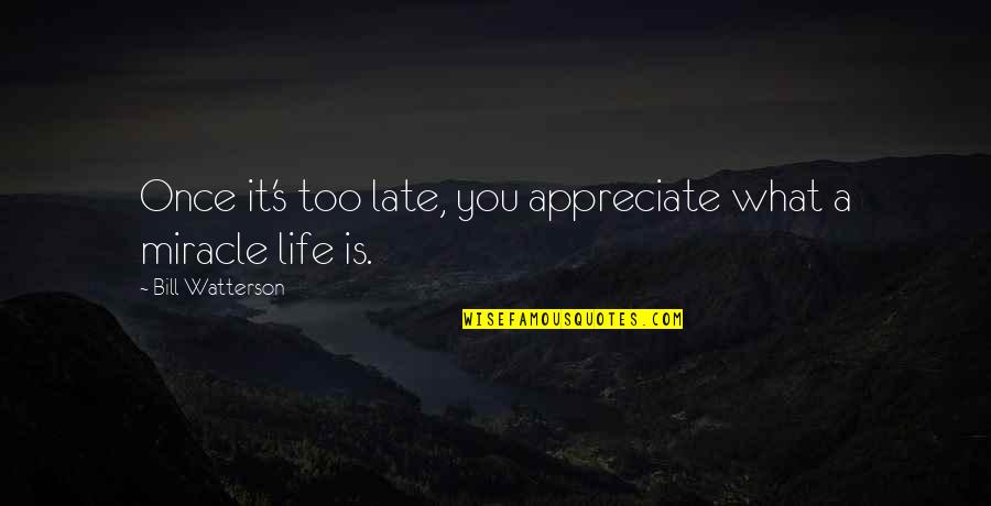 Dune Juice Sapho Quotes By Bill Watterson: Once it's too late, you appreciate what a Dune Juice Sapho Quotes By Bill Watterson: Once it's too late, you appreciate what a