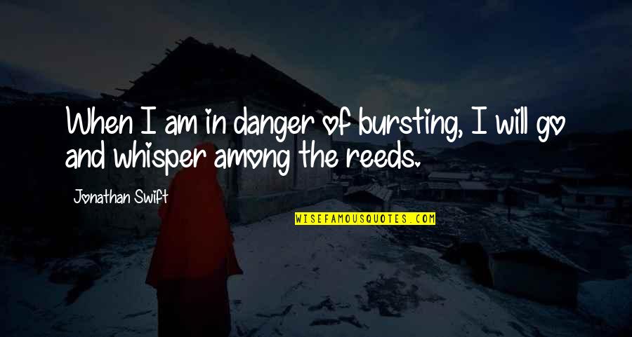 Dunes Quotes By Jonathan Swift: When I am in danger of bursting, I