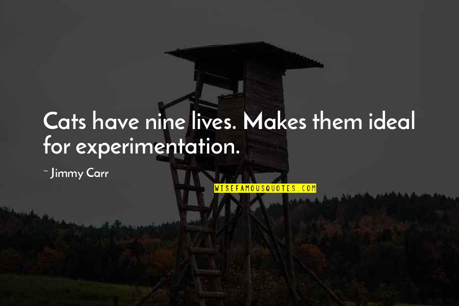 Dunford And Bradstreet Quotes By Jimmy Carr: Cats have nine lives. Makes them ideal for