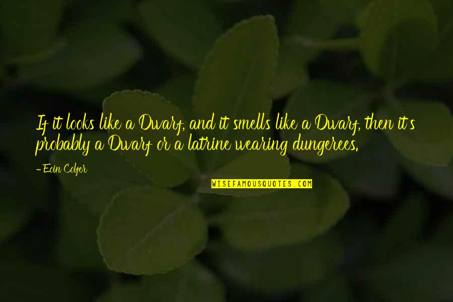 Dungerees Quotes By Eoin Colfer: If it looks like a Dwarf, and it