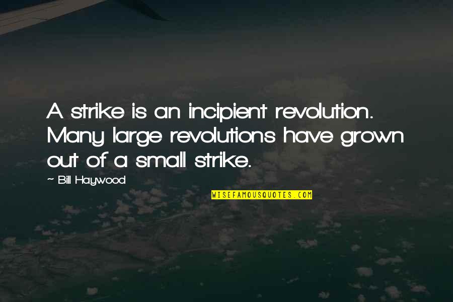 Dunreith Quotes By Bill Haywood: A strike is an incipient revolution. Many large