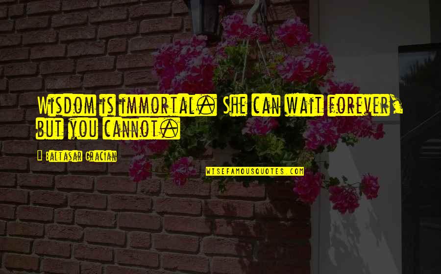 Duotones In Photoshop Quotes By Baltasar Gracian: Wisdom is immortal. She can wait forever, but Duotones In Photoshop Quotes By Baltasar Gracian: Wisdom is immortal. She can wait forever, but