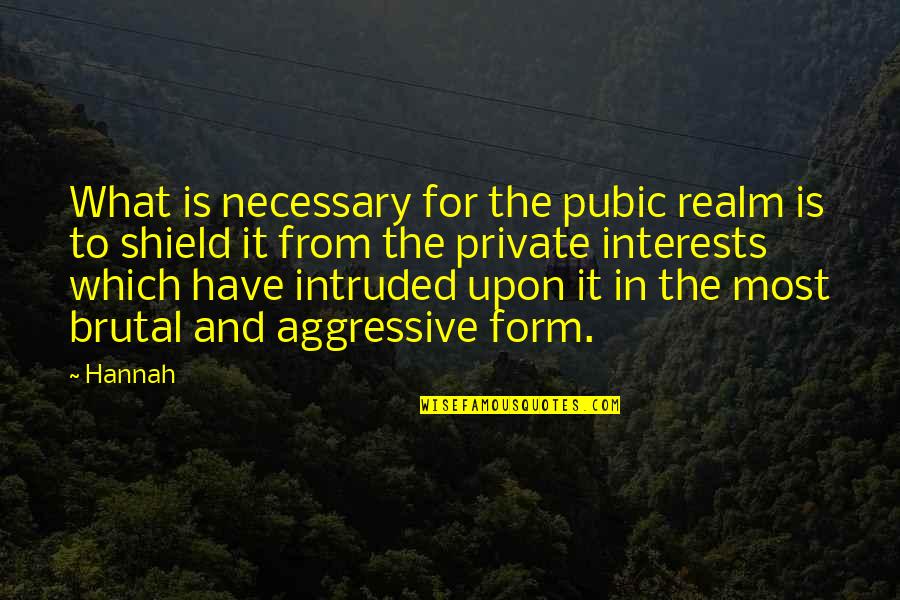Dupaquier Salem Quotes By Hannah: What is necessary for the pubic realm is Dupaquier Salem Quotes By Hannah: What is necessary for the pubic realm is