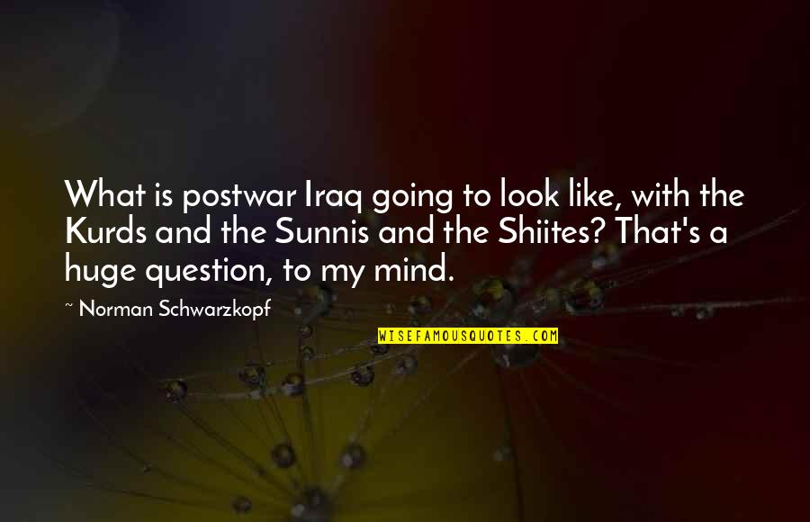 Duplo Usa Quotes By Norman Schwarzkopf: What is postwar Iraq going to look like,