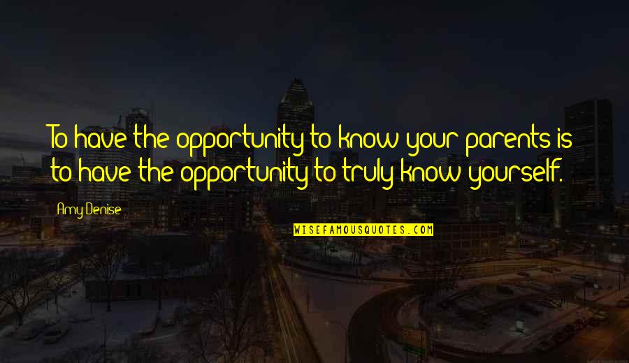 Dupray Hill Quotes By Amy Denise: To have the opportunity to know your parents