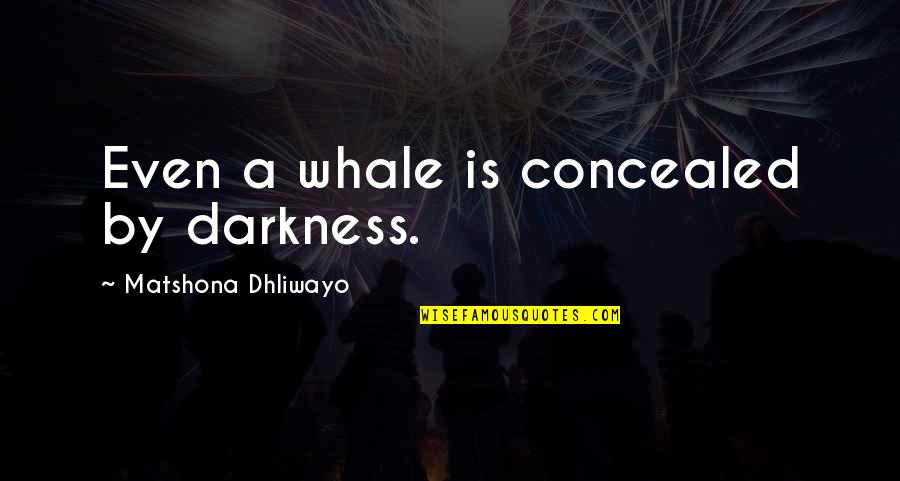 Durabac Quotes By Matshona Dhliwayo: Even a whale is concealed by darkness. Durabac Quotes By Matshona Dhliwayo: Even a whale is concealed by darkness.