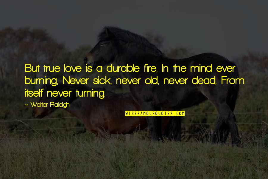 Durable Love Quotes By Walter Raleigh: But true love is a durable fire, In