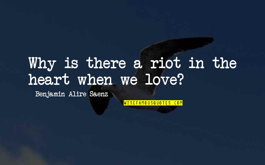 Durata Stone Quotes By Benjamin Alire Saenz: Why is there a riot in the heart