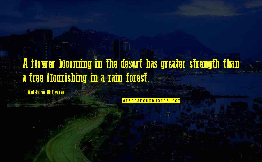 Durdumb Quotes By Matshona Dhliwayo: A flower blooming in the desert has greater Durdumb Quotes By Matshona Dhliwayo: A flower blooming in the desert has greater