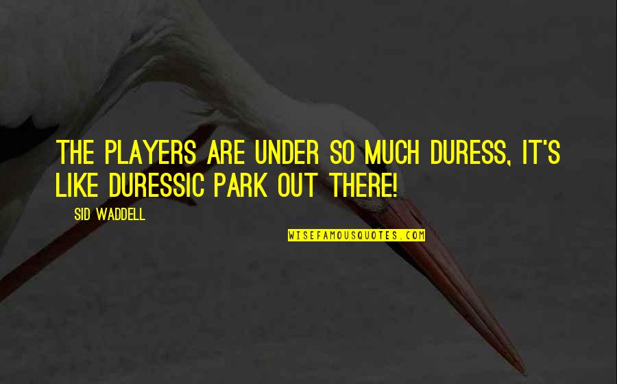 Duressic Quotes By Sid Waddell: The players are under so much duress, it's