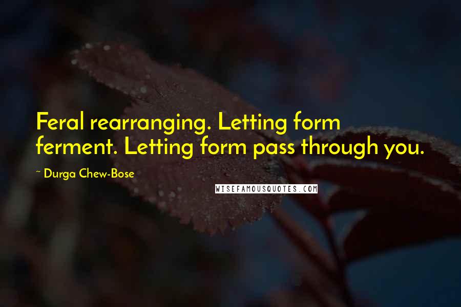 Durga Chew-Bose quotes: Feral rearranging. Letting form ferment. Letting form pass through you.