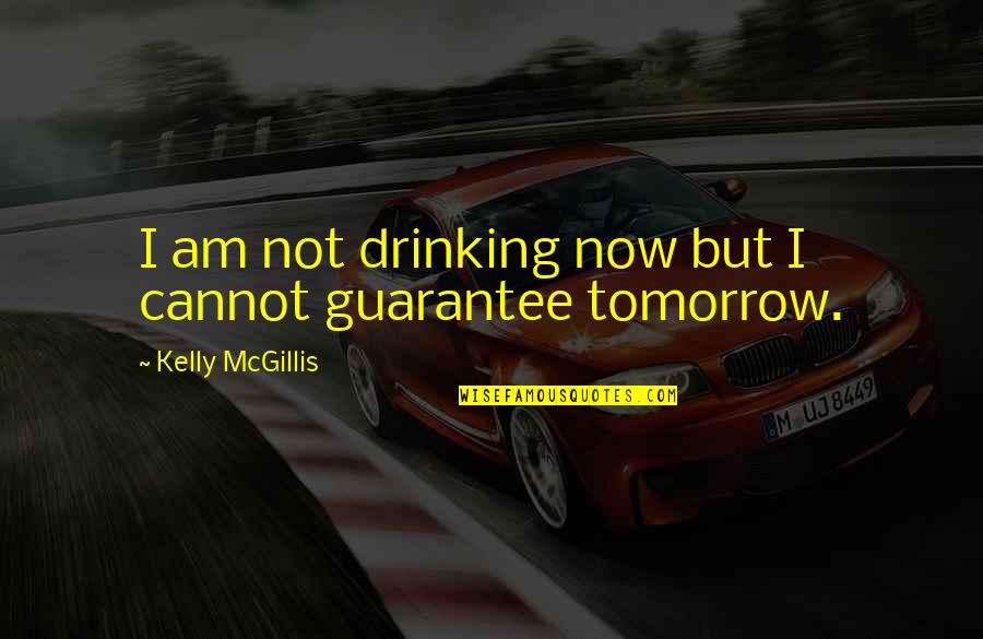 Durock Home Quotes By Kelly McGillis: I am not drinking now but I cannot Durock Home Quotes By Kelly McGillis: I am not drinking now but I cannot