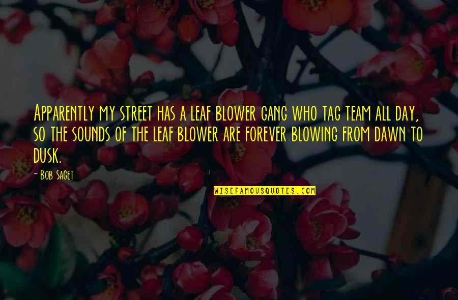Dusk And Dawn Quotes By Bob Saget: Apparently my street has a leaf blower gang