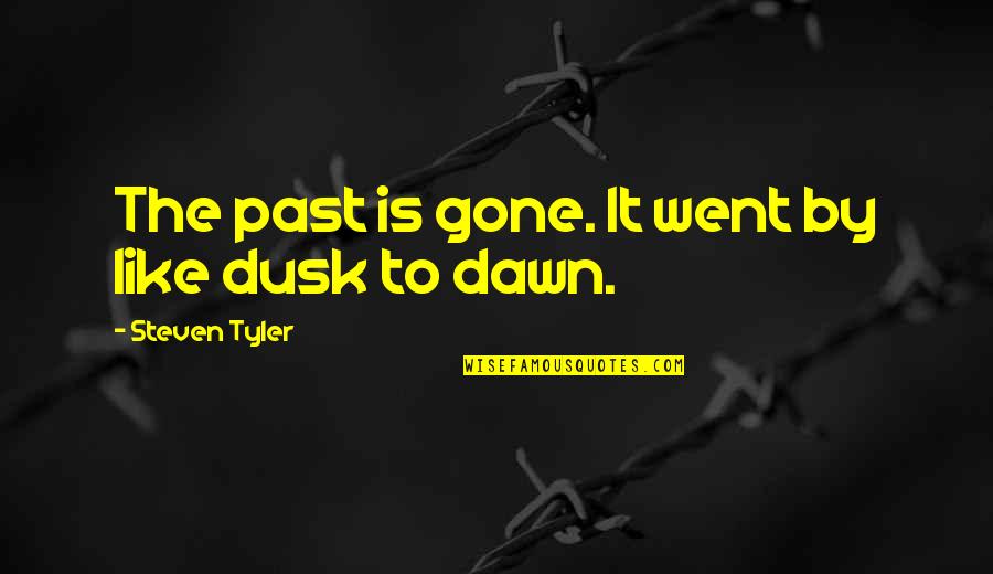 Dusk And Dawn Quotes By Steven Tyler: The past is gone. It went by like