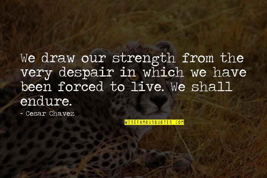 Duskova And Bidar Quotes By Cesar Chavez: We draw our strength from the very despair Duskova And Bidar Quotes By Cesar Chavez: We draw our strength from the very despair