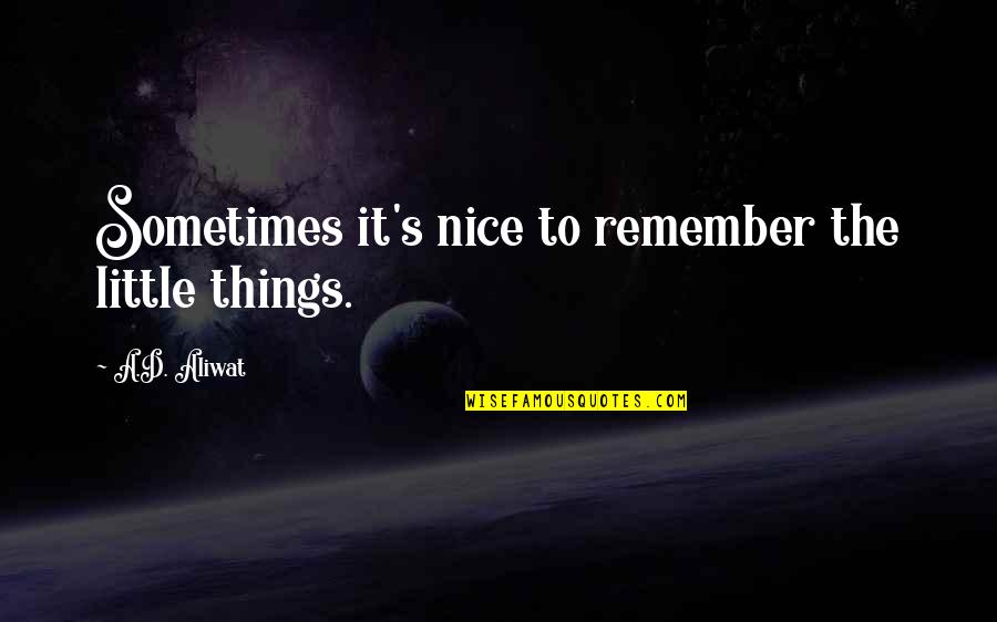 Dust Settle Quotes By A.D. Aliwat: Sometimes it's nice to remember the little things.