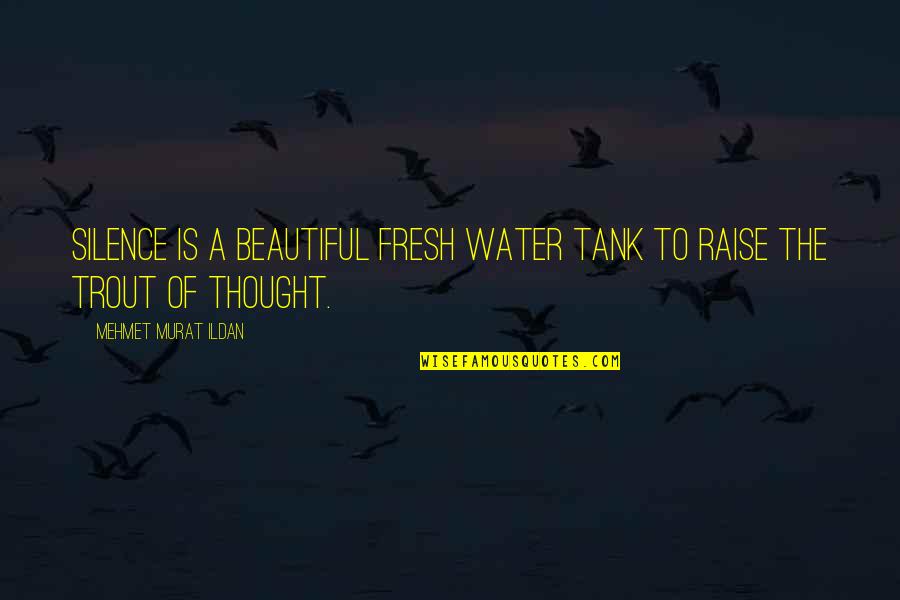 Dustiness Quotes By Mehmet Murat Ildan: Silence is a beautiful fresh water tank to