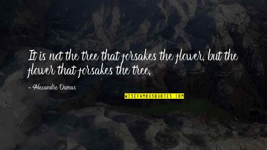 Dutch Odst Quotes By Alexandre Dumas: It is not the tree that forsakes the