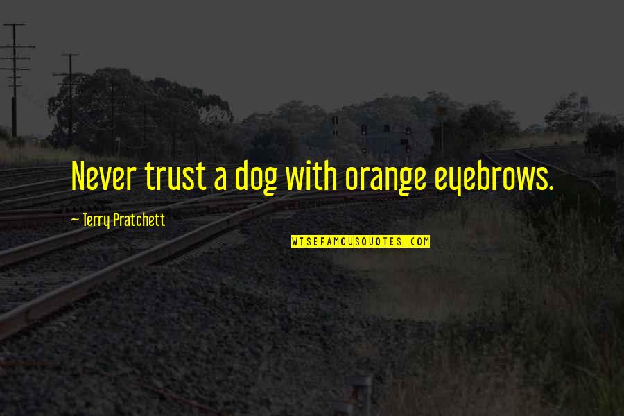 Duuuuude Quotes By Terry Pratchett: Never trust a dog with orange eyebrows.