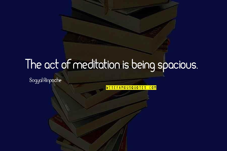 Duvarda Kanal A Ma Quotes By Sogyal Rinpoche: The act of meditation is being spacious. Duvarda Kanal A Ma Quotes By Sogyal Rinpoche: The act of meditation is being spacious.