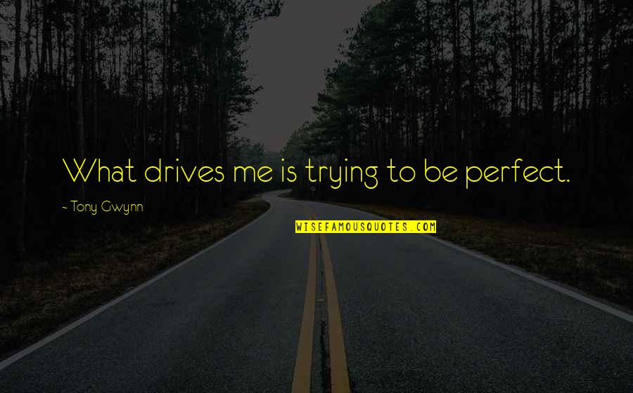 Dvasia Quotes By Tony Gwynn: What drives me is trying to be perfect. Dvasia Quotes By Tony Gwynn: What drives me is trying to be perfect.