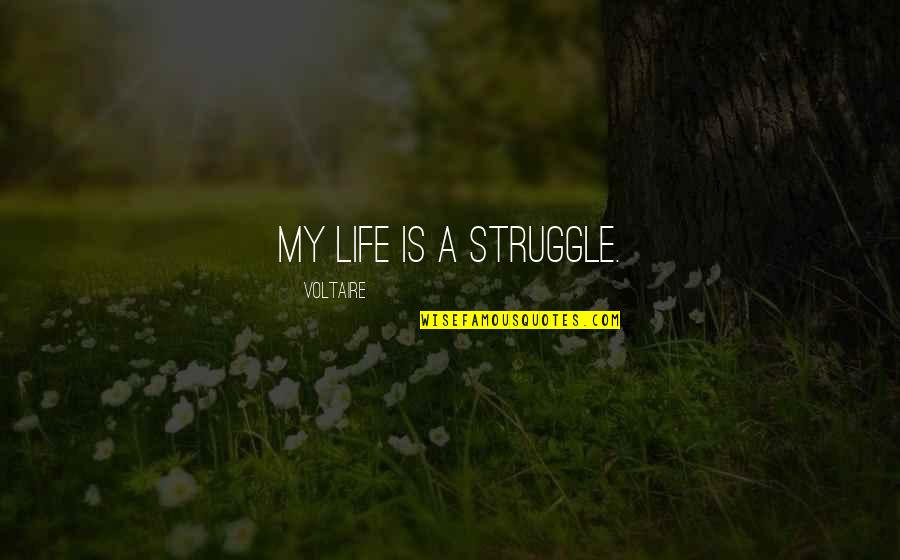 Dvasia Vie Patie Quotes By Voltaire: My life is a struggle.