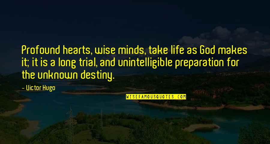 Dvida American Quotes By Victor Hugo: Profound hearts, wise minds, take life as God