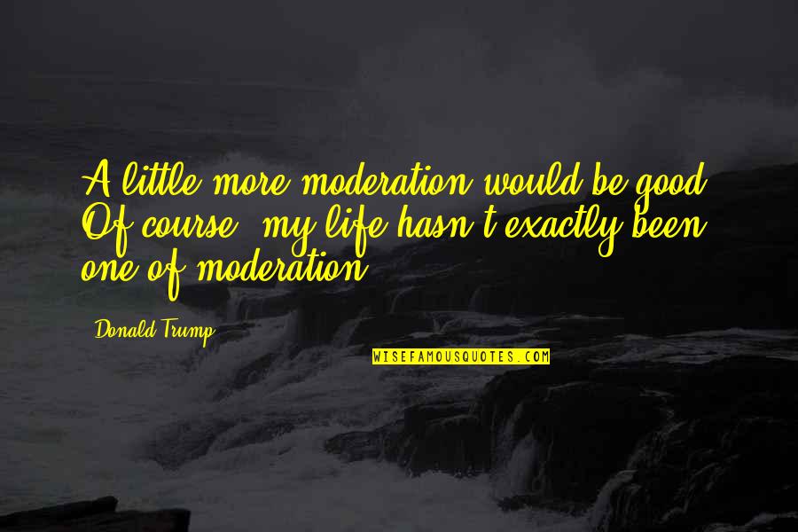 Dvorsky Peter Quotes By Donald Trump: A little more moderation would be good. Of