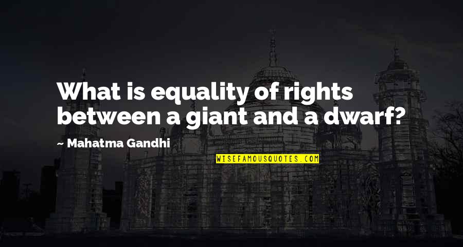 Dwarf'd Quotes By Mahatma Gandhi: What is equality of rights between a giant