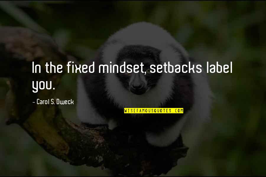 Dweck Quotes By Carol S. Dweck: In the fixed mindset, setbacks label you.