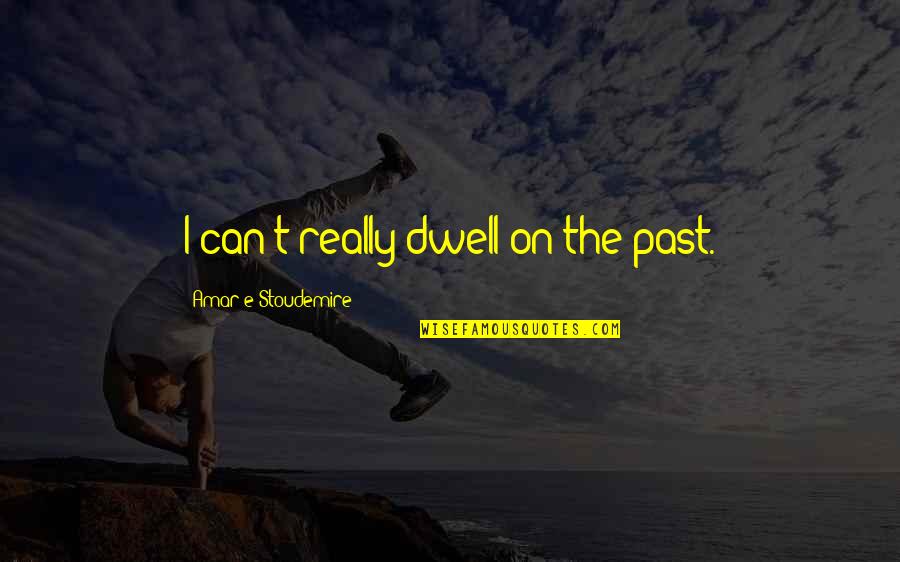 Dwell In Your Past Quotes By Amar'e Stoudemire: I can't really dwell on the past.