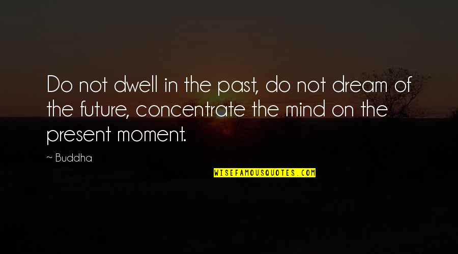 Dwell In Your Past Quotes By Buddha: Do not dwell in the past, do not
