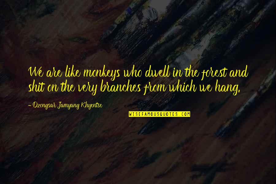 Dwell On Quotes By Dzongsar Jamyang Khyentse: We are like monkeys who dwell in the