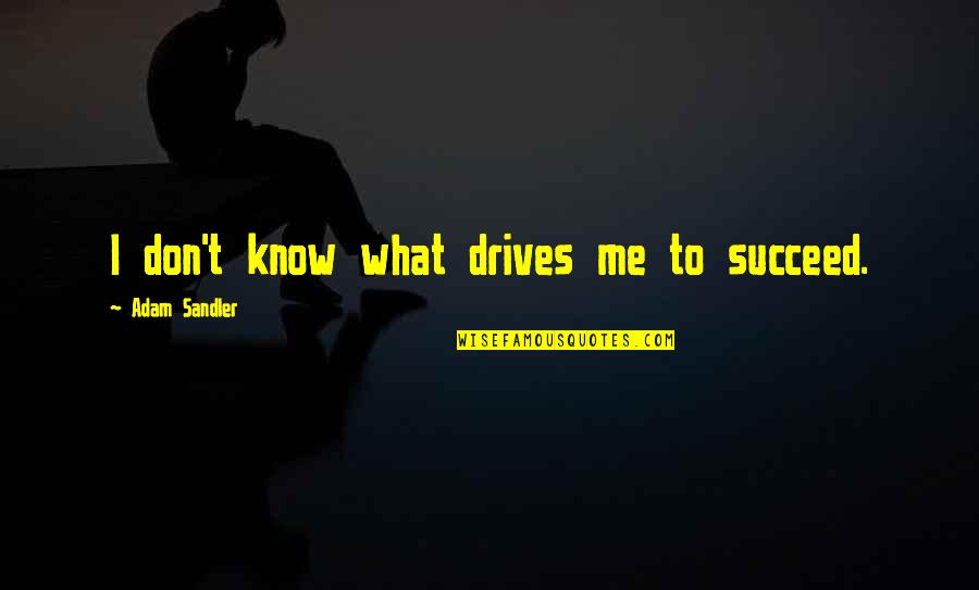 Dwikutub Quotes By Adam Sandler: I don't know what drives me to succeed.