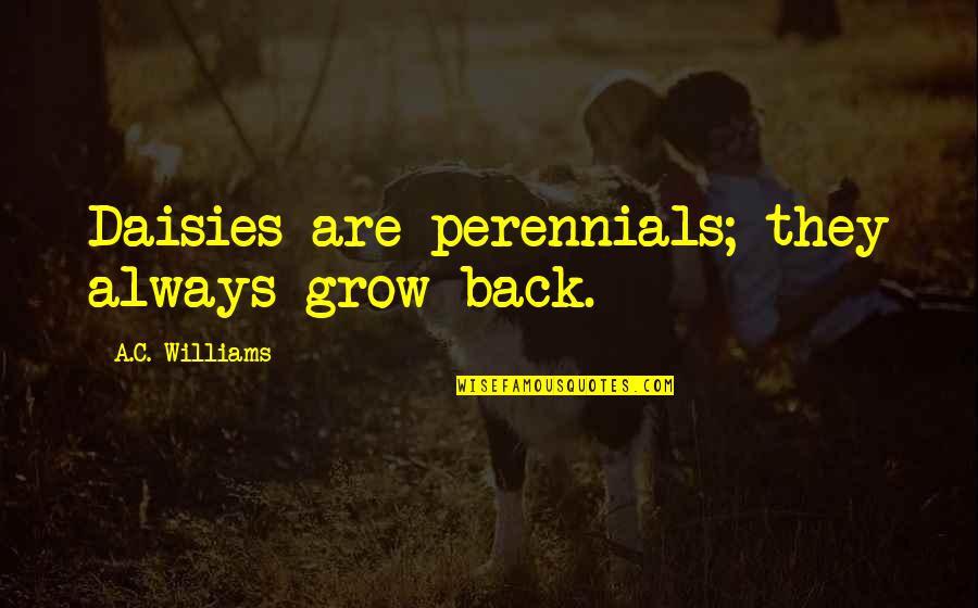 Dyads Communication Quotes By A.C. Williams: Daisies are perennials; they always grow back. Dyads Communication Quotes By A.C. Williams: Daisies are perennials; they always grow back.