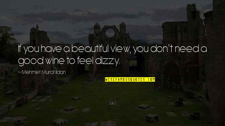 Dyan Cannon Quotes By Mehmet Murat Ildan: If you have a beautiful view, you don't