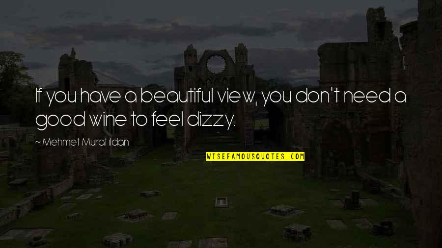 Dyan Cannon Quotes By Mehmet Murat Ildan: If you have a beautiful view, you don't