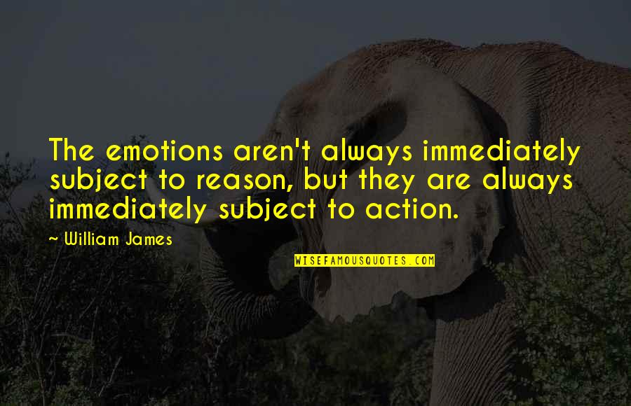 Dyanna Taylor Quotes By William James: The emotions aren't always immediately subject to reason,