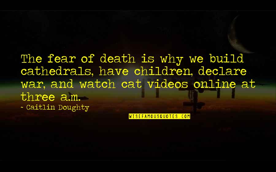 Dying Cat Quotes By Caitlin Doughty: The fear of death is why we build