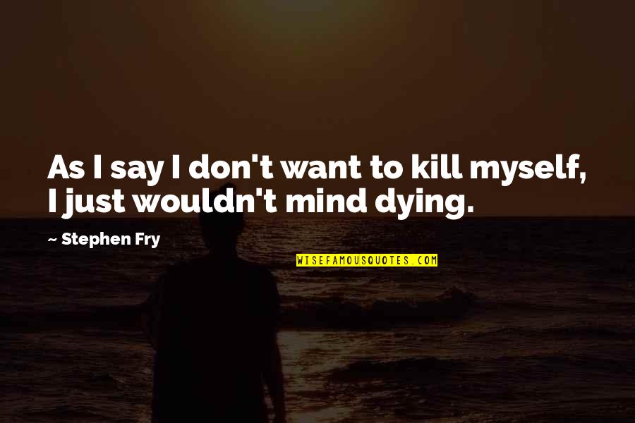 Dying Depression Quotes By Stephen Fry: As I say I don't want to kill