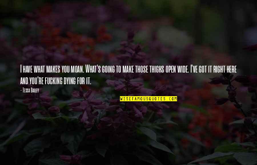 Dying For You Quotes By Tessa Bailey: I have what makes you moan. What's going Dying For You Quotes By Tessa Bailey: I have what makes you moan. What's going