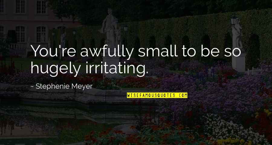 Dying For Your Beliefs Quotes By Stephenie Meyer: You're awfully small to be so hugely irritating.