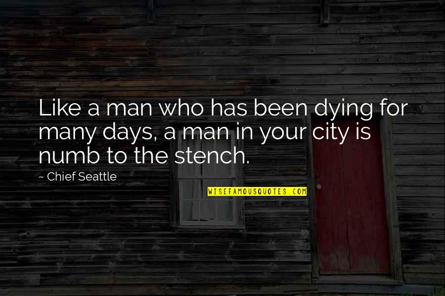 Dying Man Quotes By Chief Seattle: Like a man who has been dying for