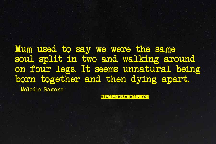 Dying Soul Quotes By Melodie Ramone: Mum used to say we were the same