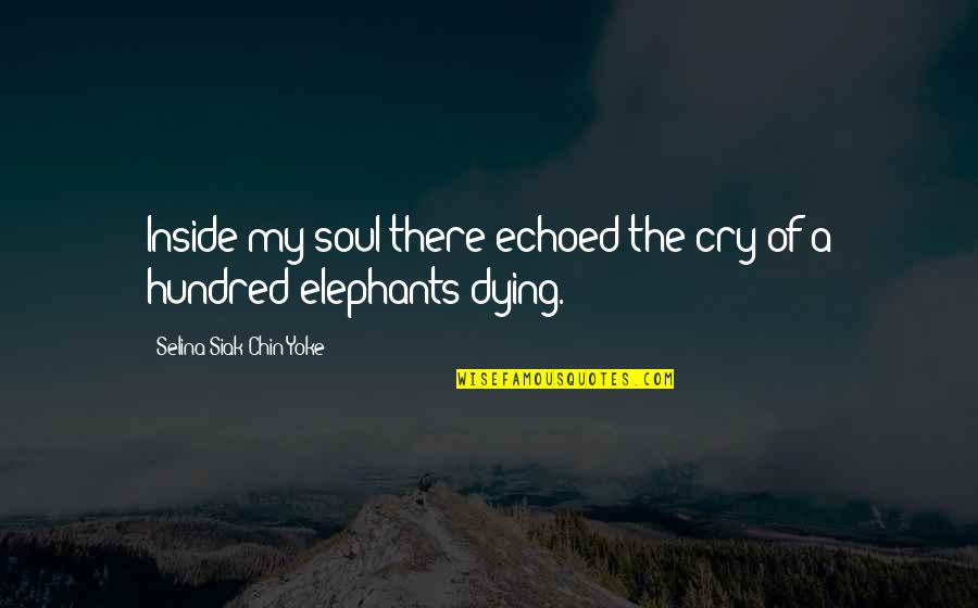 Dying Soul Quotes By Selina Siak Chin Yoke: Inside my soul there echoed the cry of
