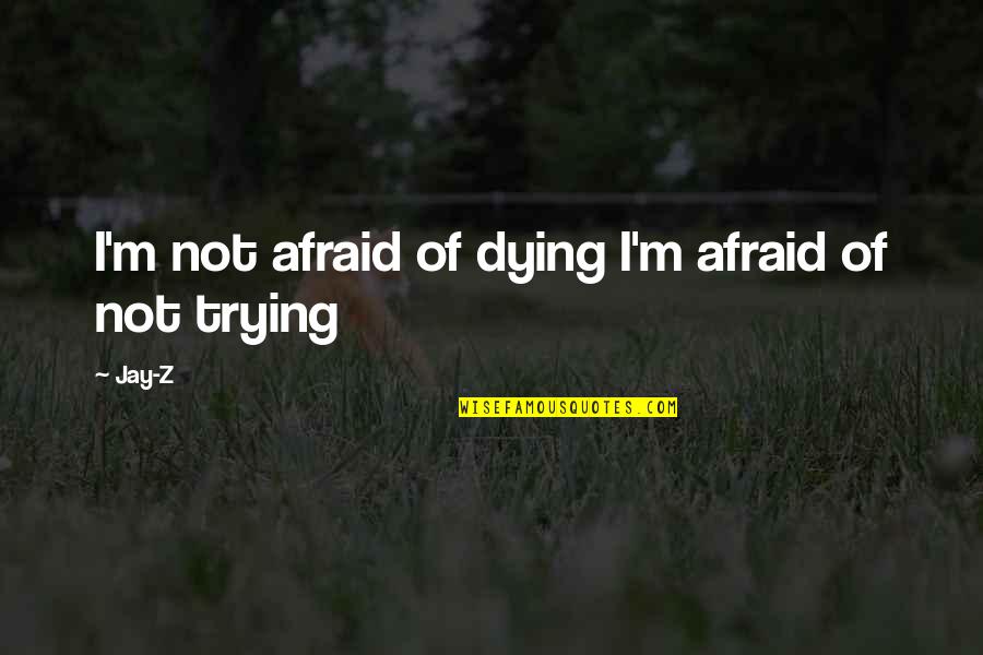 Dying To Young Quotes By Jay-Z: I'm not afraid of dying I'm afraid of