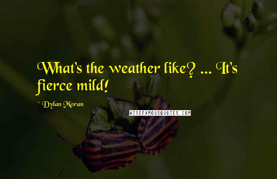 Dylan Moran quotes: What's the weather like? ... It's fierce mild!