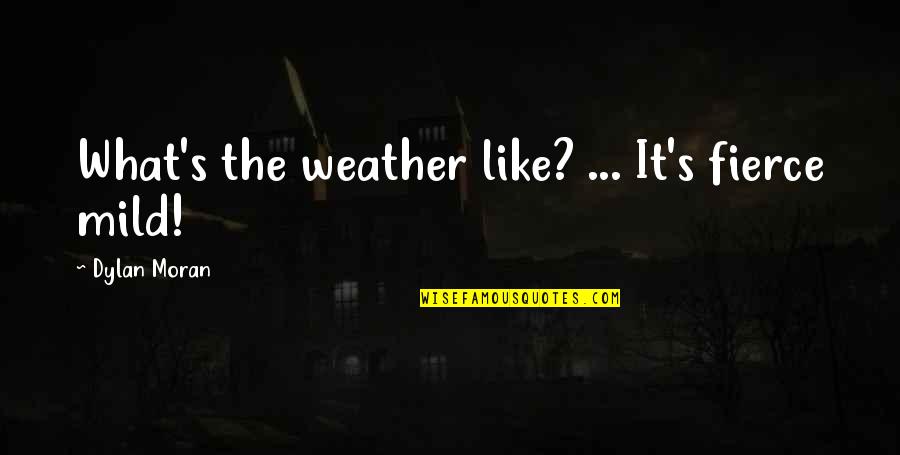 Dylan Moran Quotes By Dylan Moran: What's the weather like? ... It's fierce mild! Dylan Moran Quotes By Dylan Moran: What's the weather like? ... It's fierce mild!